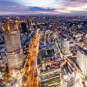 Cerulean Tower Tokyu Hotel, A Pan Pacific Partner 5*, Tokio Japón